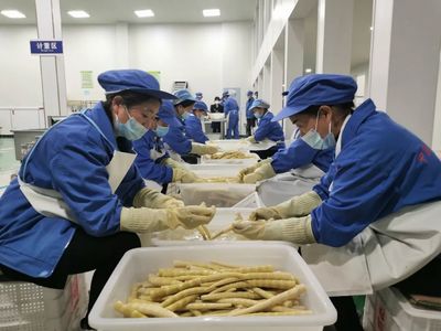 桐梓 龍頭企業(yè)帶動(dòng)方竹筍精深加工，助推食品產(chǎn)業(yè)高質(zhì)量發(fā)展